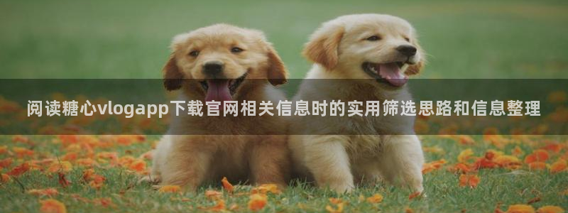 糖心vlog免费观看：阅读糖心vlogapp下载官网相关信息时的实用筛选思路和信息整理