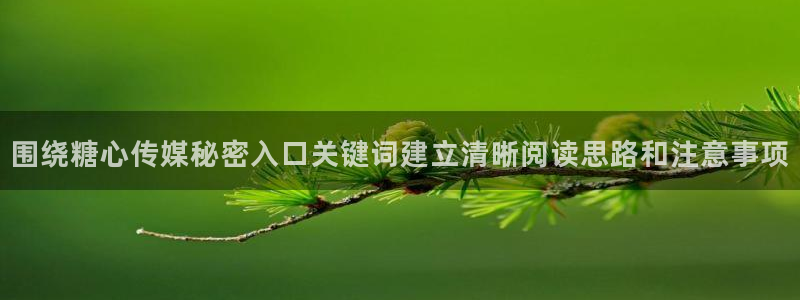 糖心vlog免费下载