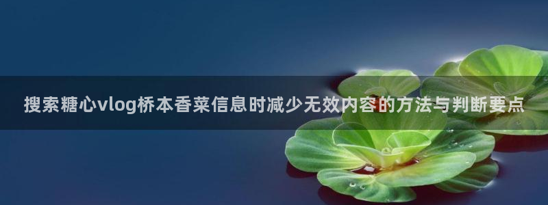 糖心vlog网页版