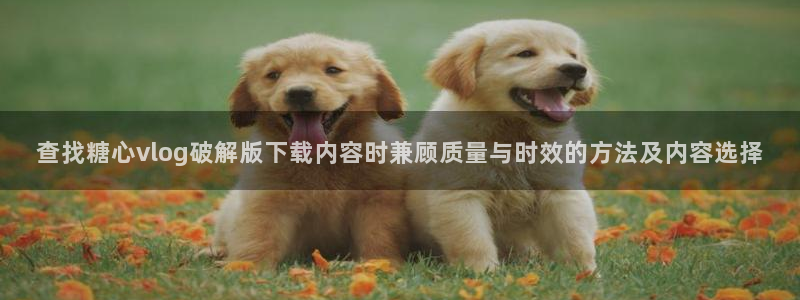糖心vlog免费下载