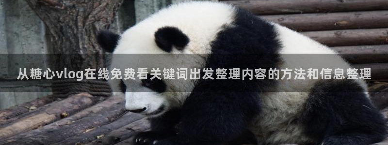 糖心免费破解版