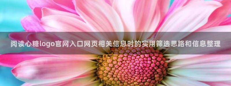 在线观看糖心:阅读心糖logo官网入口网页相关信息时的实用筛选思路和信息整理