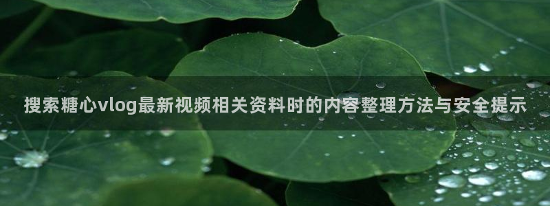 糖心网页:搜索糖心vlog最新视频相关资料时的内容整理方法与安全提示