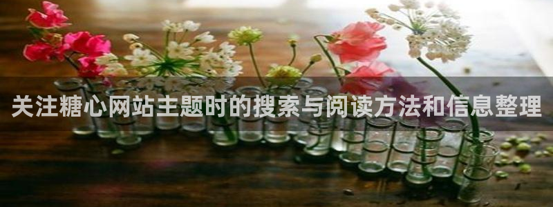 糖心下载链接:关注糖心网站主题时的搜索与阅读方法和信息整理