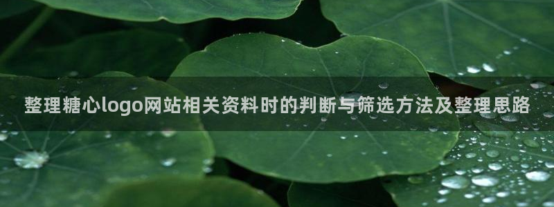 糖心视频在线观看:整理糖心logo网站相关资料时的判断与筛选方法及整理思路